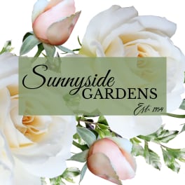 White and blush roses with a Sunnyside Gardens logo overlay