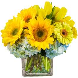 Yellow sunflowers and blue hydrangeas in a clear glass vase