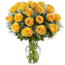 2 Dozen Long Stem Yellow Roses