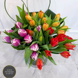 Multicolored tulip arrangement with orange, red, and purple blooms in a clear glass vase