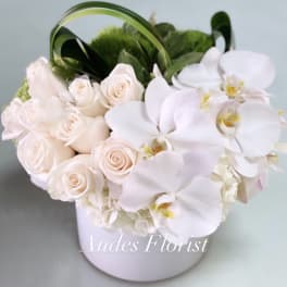 White roses and orchids arranged in a pale round box