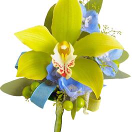 Yellow orchid corsage with blue flowers and ribbon accents