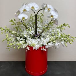White orchids arranged in a red cylindrical container