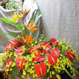 Sympathy Arrangements15/ 5-7 Days