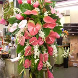 Tall tropical arrangement with pink anthuriums and white flowers