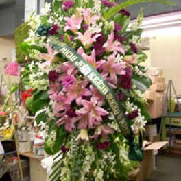 Sympathy Arrangements 6 / 5-7 Days