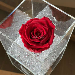 Single red rose in a clear acrylic box with crystal beads