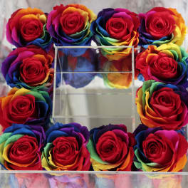 Rainbow-colored roses arranged in a clear square box