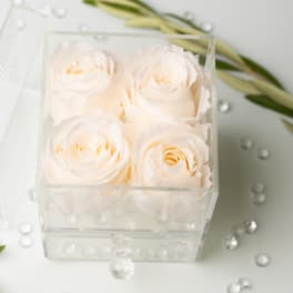 Four white roses in a clear acrylic box with scattered crystals
