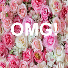 Pink and white roses with large white text reading OMG!
