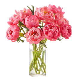 Pink peonies arranged in a clear glass vase