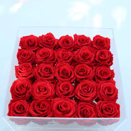 Box of red roses in a clear square container