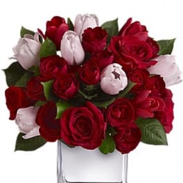 Red and pale pink roses arranged in a clear square vase