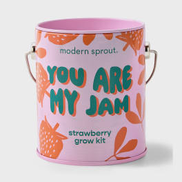 Pink strawberry grow kit tin with metal handles and floral graphics