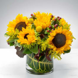 Sunny Sunflowers by BloomNation™