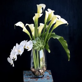 White calla lilies and orchids arranged in a glass vase with a succulent