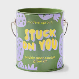 Green tin can labeled "Stuck on You" for a prickly pear cactus grow kit
