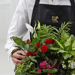 Red roses and white calla lilies in a florist's apron