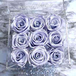 Nine lavender roses in a clear square box