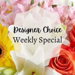 Designer Choice Weekly Special