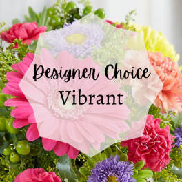 Designer Choice Vibrant