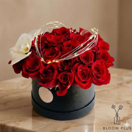Red roses arranged in a black round box with a white orchid accent and string lights