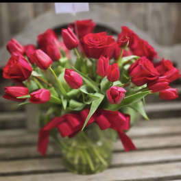 1 dozen red roses and 50 red tulips