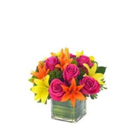 Bright pink roses with orange and yellow lilies in a cube glass vase with green leaf wrap.