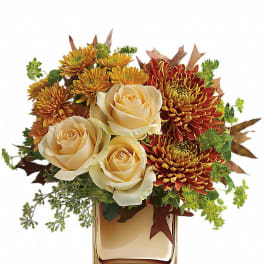 Compact arrangement of peach roses and rust chrysanthemums in a square gold glass vase