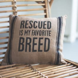 Decorative pillow on a wicker chair with the words "RESCUED IS MY FAVORITE BREED"