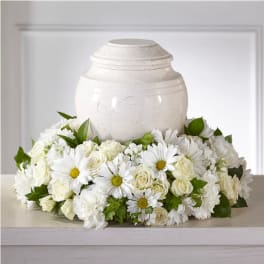 White funeral urn surrounded by white flowers and daisies
