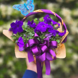 Purple Petunia basket