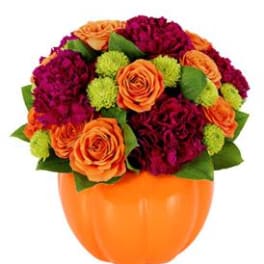 Orange and burgundy bouquet with green button poms in an orange pumpkin-shaped container