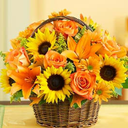 Fields of Europe for Fall Basket
