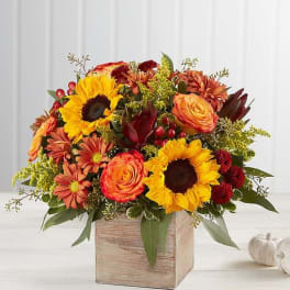 Harvest Glow Bouquet