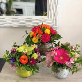 Three small mixed flower arrangements with bright pink, orange, and yellow blooms in round containers.