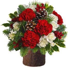 Holiday bouquet of red and white carnations with pinecones in a bark-covered container