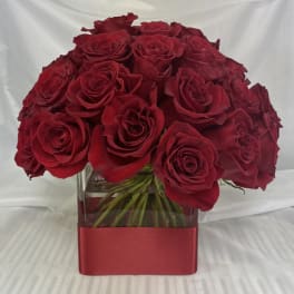 Three Dozen Red Roses by BloomNation™
