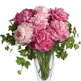 Pink peonies in a clear glass vase with trailing ivy