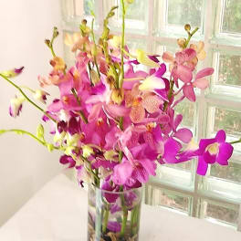 Pink and purple orchids in a clear glass vase with pebbles