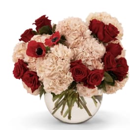 Bouquet of red roses and pale pink hydrangeas in a clear glass vase