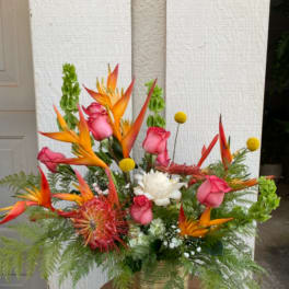 Tropical bouquet with pink roses and orange bird-of-paradise in a gold vase