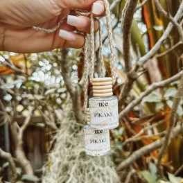 Hand holding two small hanging candle bottles in a tree