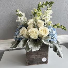 White roses and blue hydrangeas in a wooden box with tall white blooms