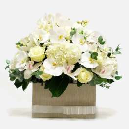 White orchids and pale roses in a square box with ribbon