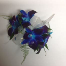 Blue and purple orchid corsage with white ribbon