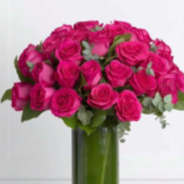 36 Hot Pink Roses in a Glass Vase