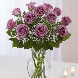 Dozen Long Stemmed Lavender Roses
