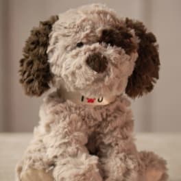 Plush dog toy with shaggy brown and cream fur
