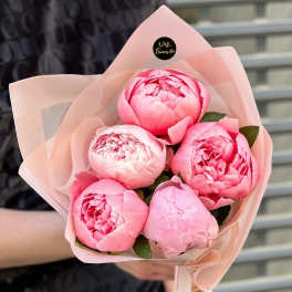 Handheld bouquet of pink peonies wrapped in pale pink paper